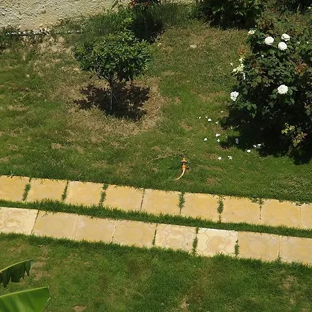 Leonidas Hotel&studios Hotel